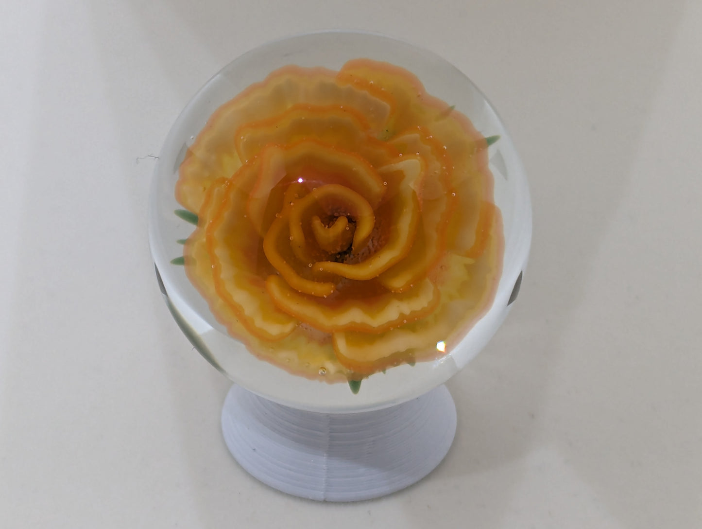 Orange Creme Rose V.2