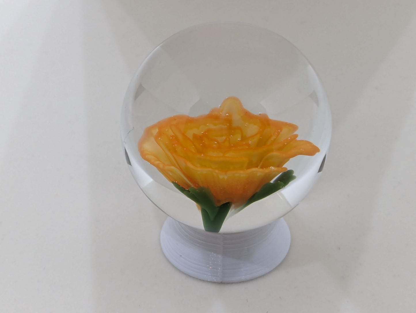Orange Creme Rose V.2