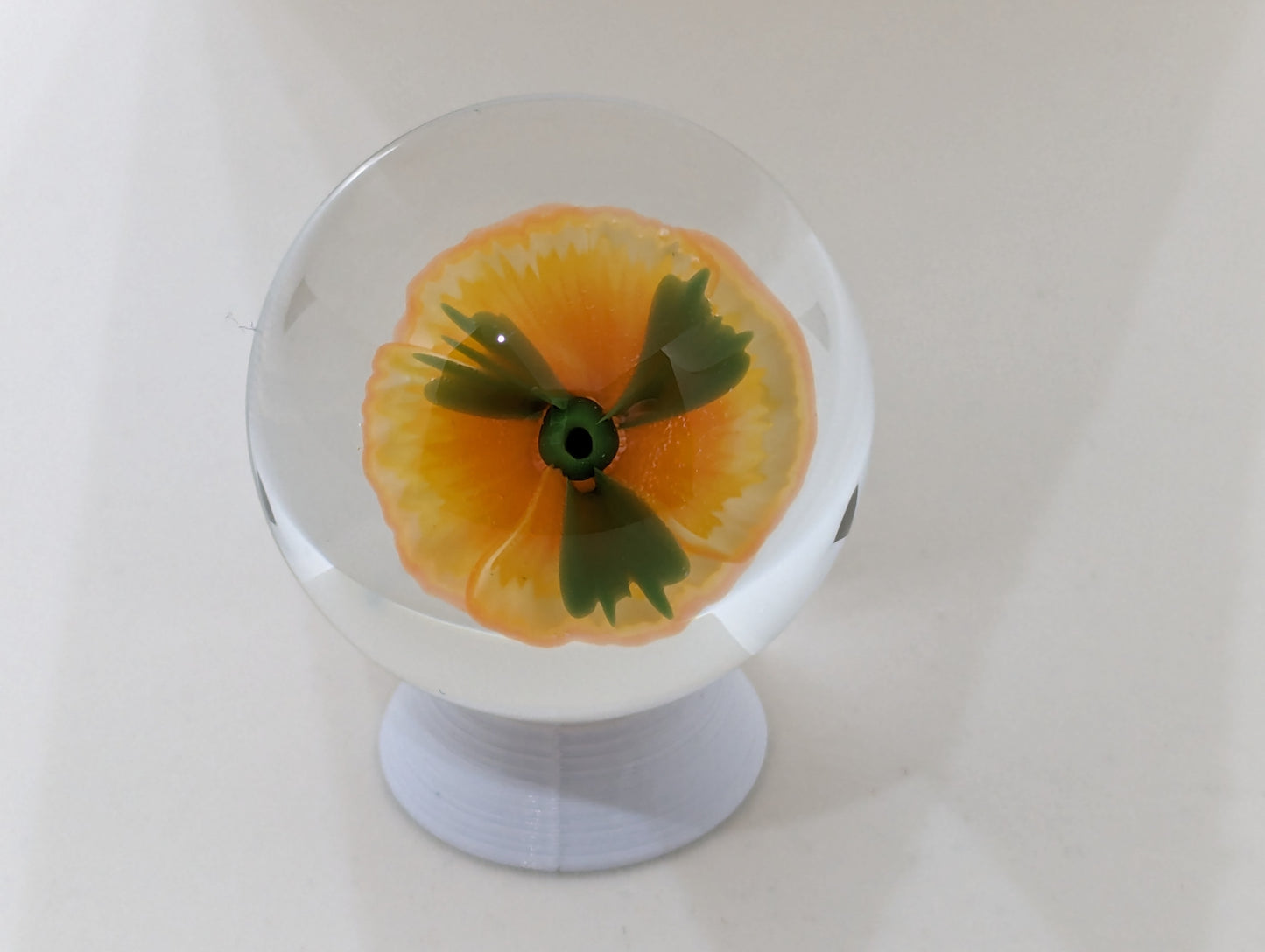 Orange Creme Rose V.2