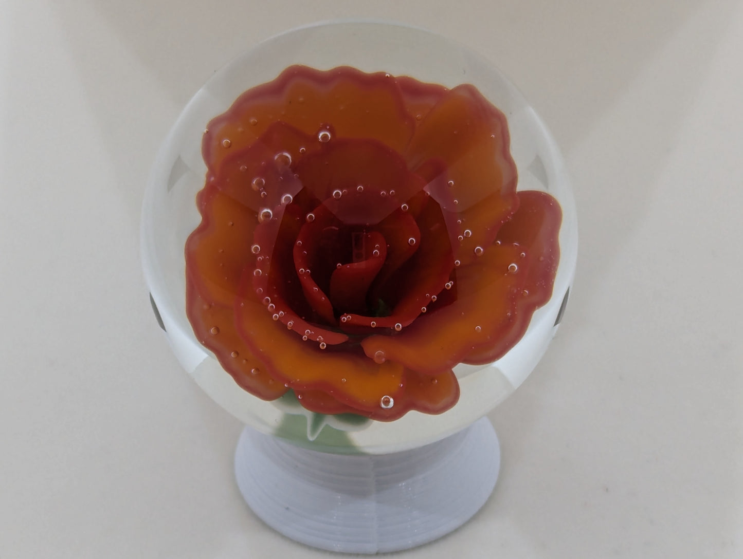 Persimmon Rose
