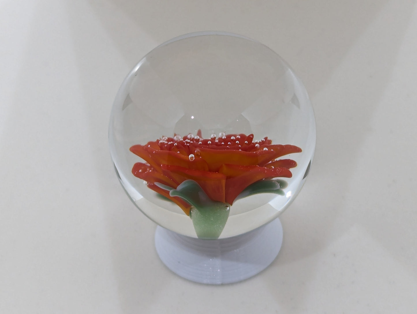 Persimmon Rose