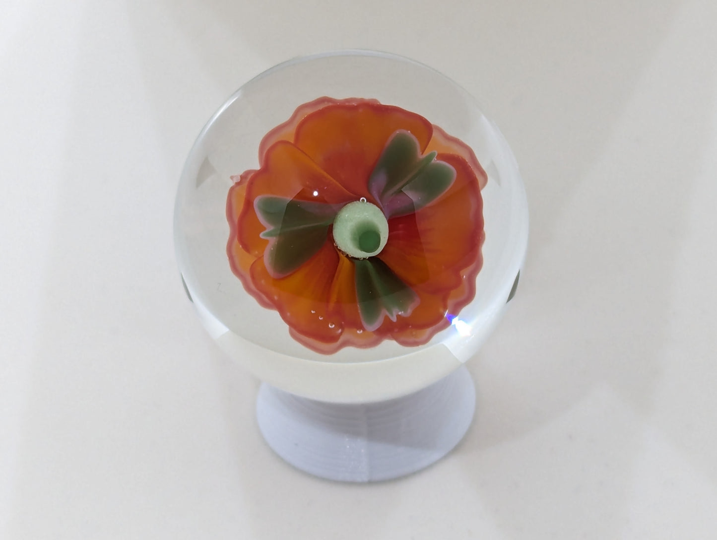 Persimmon Rose