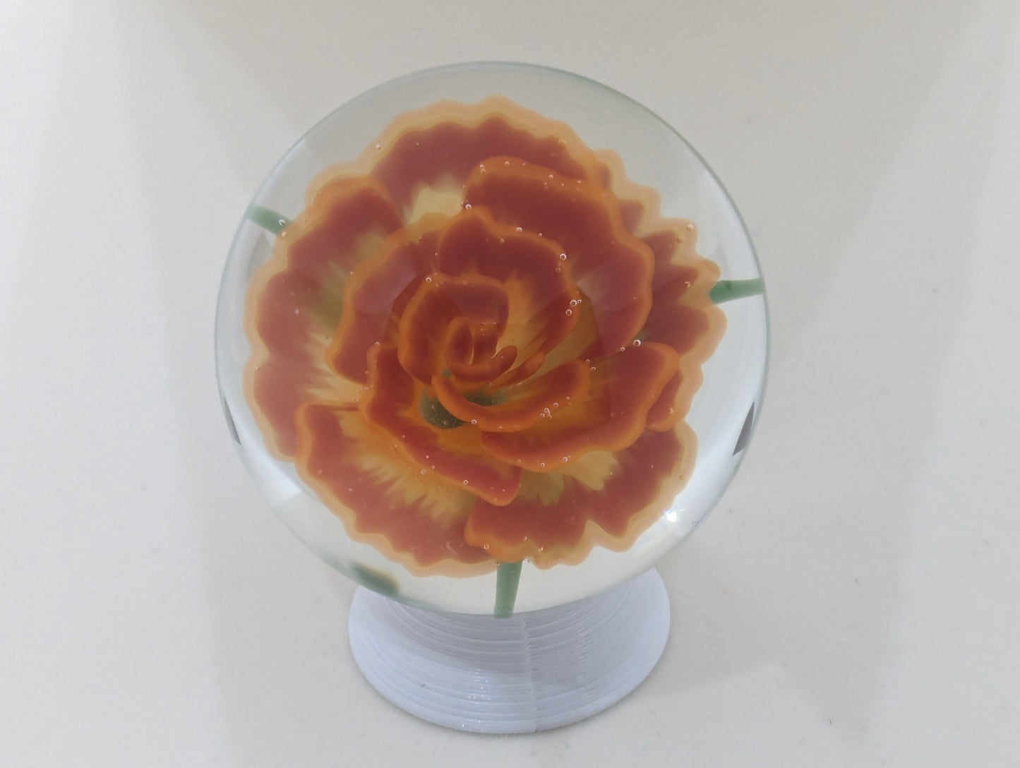 Raspberry Lemon Tart Rose