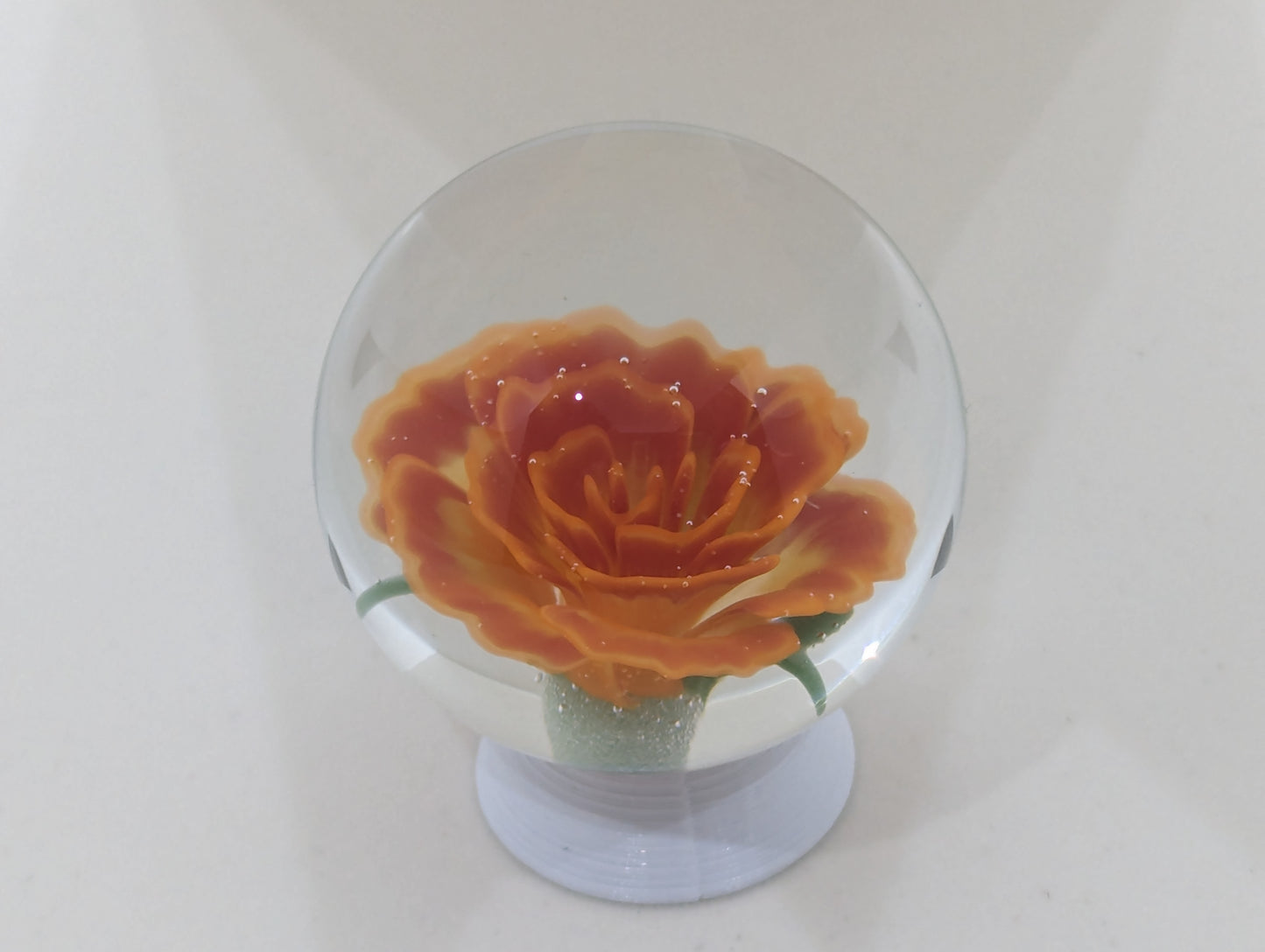 Raspberry Lemon Tart Rose