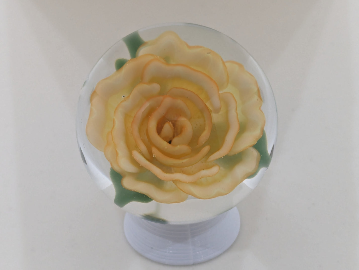 Orange Tart Rose