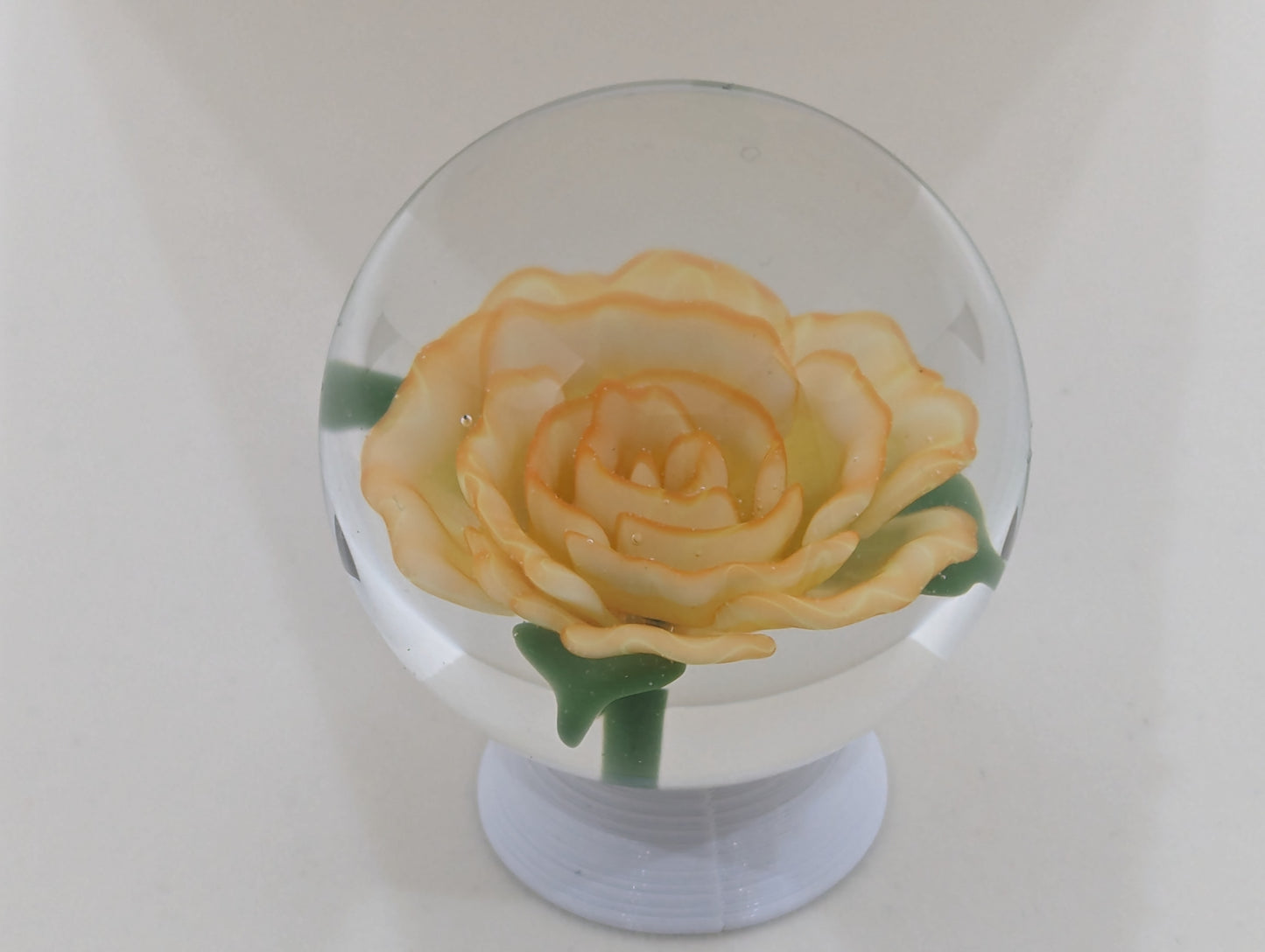 Orange Tart Rose