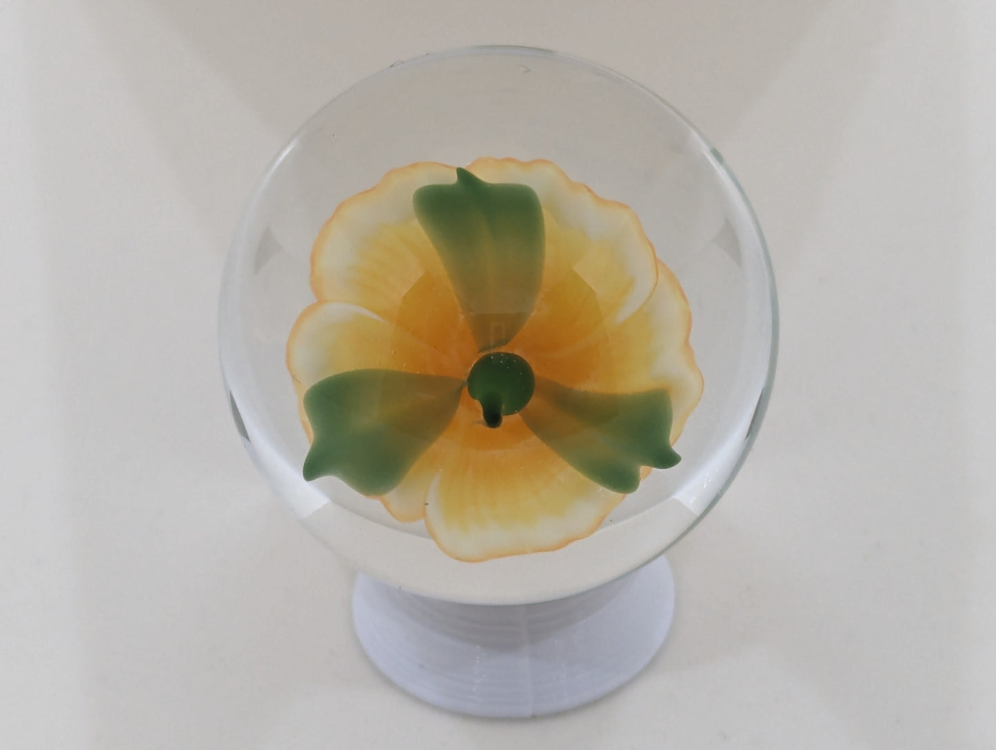 Orange Tart Rose