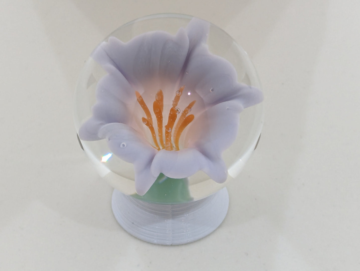 Lavender Honeysuckle