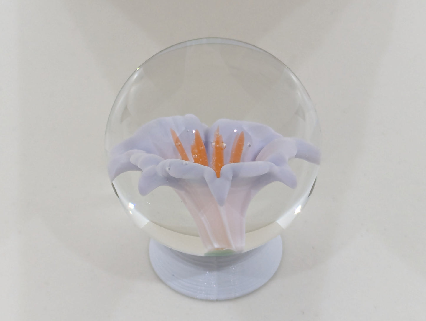 Lavender Honeysuckle