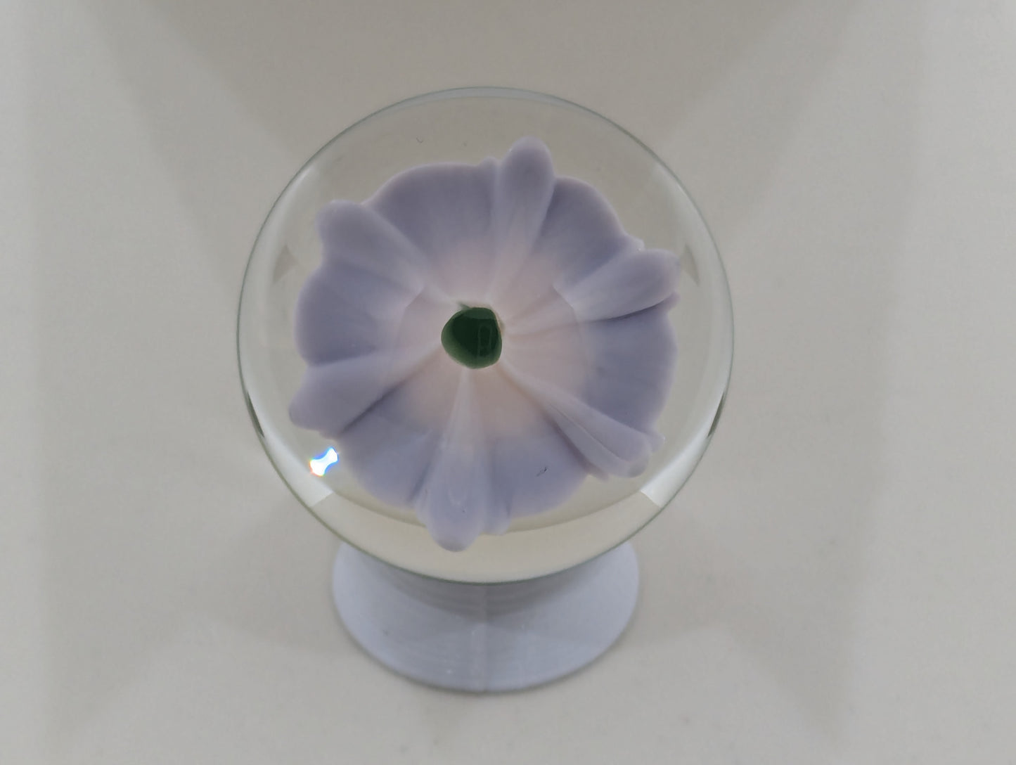 Lavender Honeysuckle