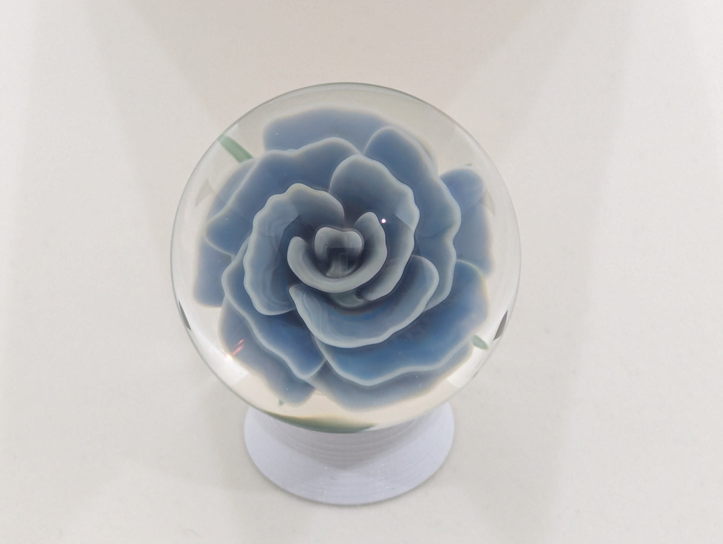 Blue Moonlight Rose