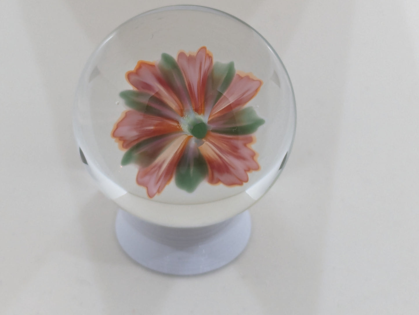 Tropical Honeysuckle V.2