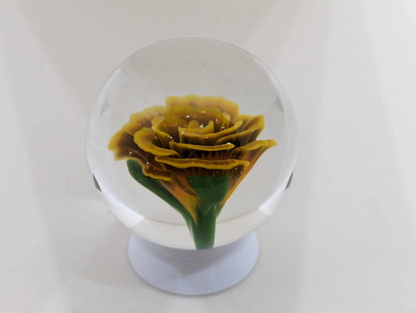Golden Dusk Rose