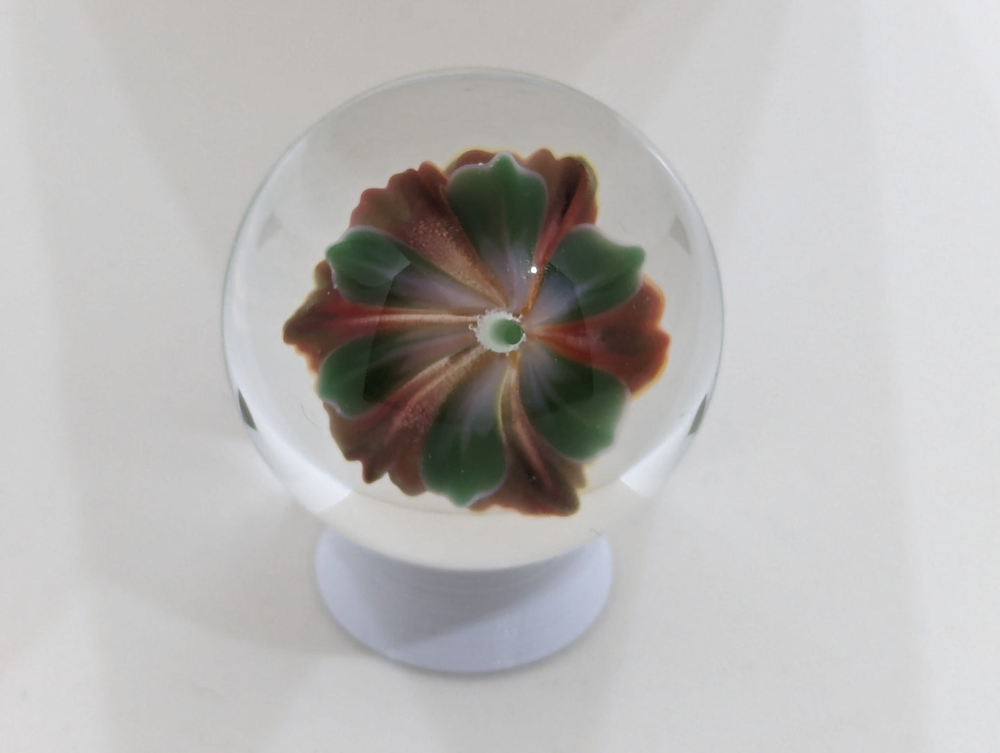 Phoenix Lily
