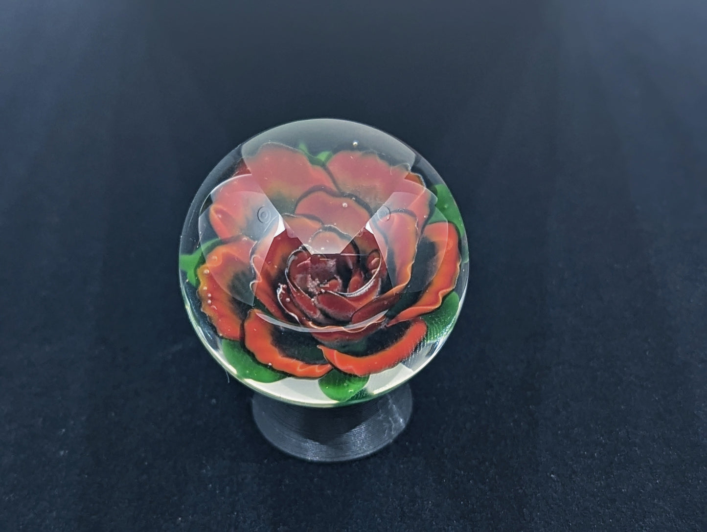 Dark Red Rose