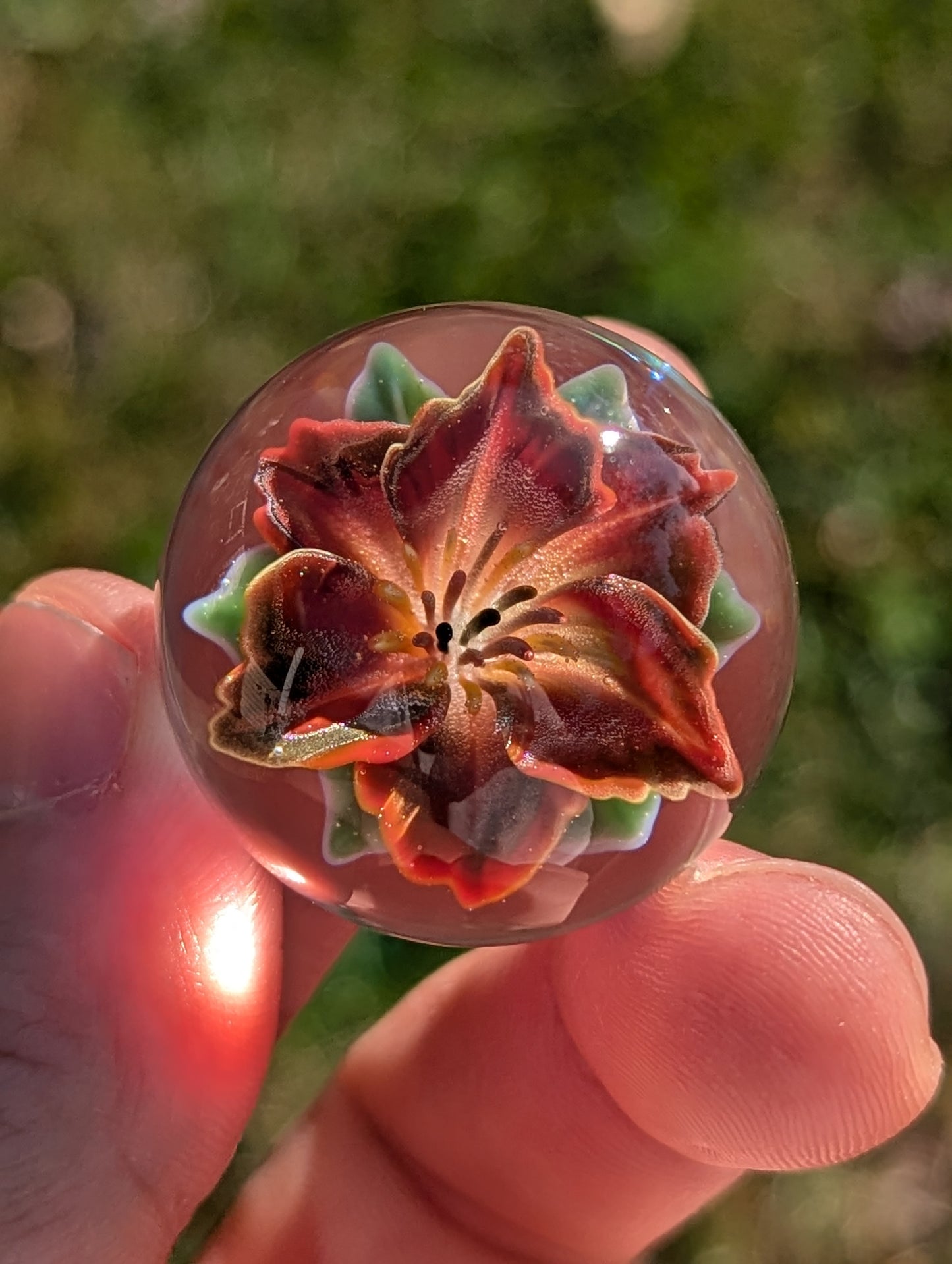 Phoenix Lily