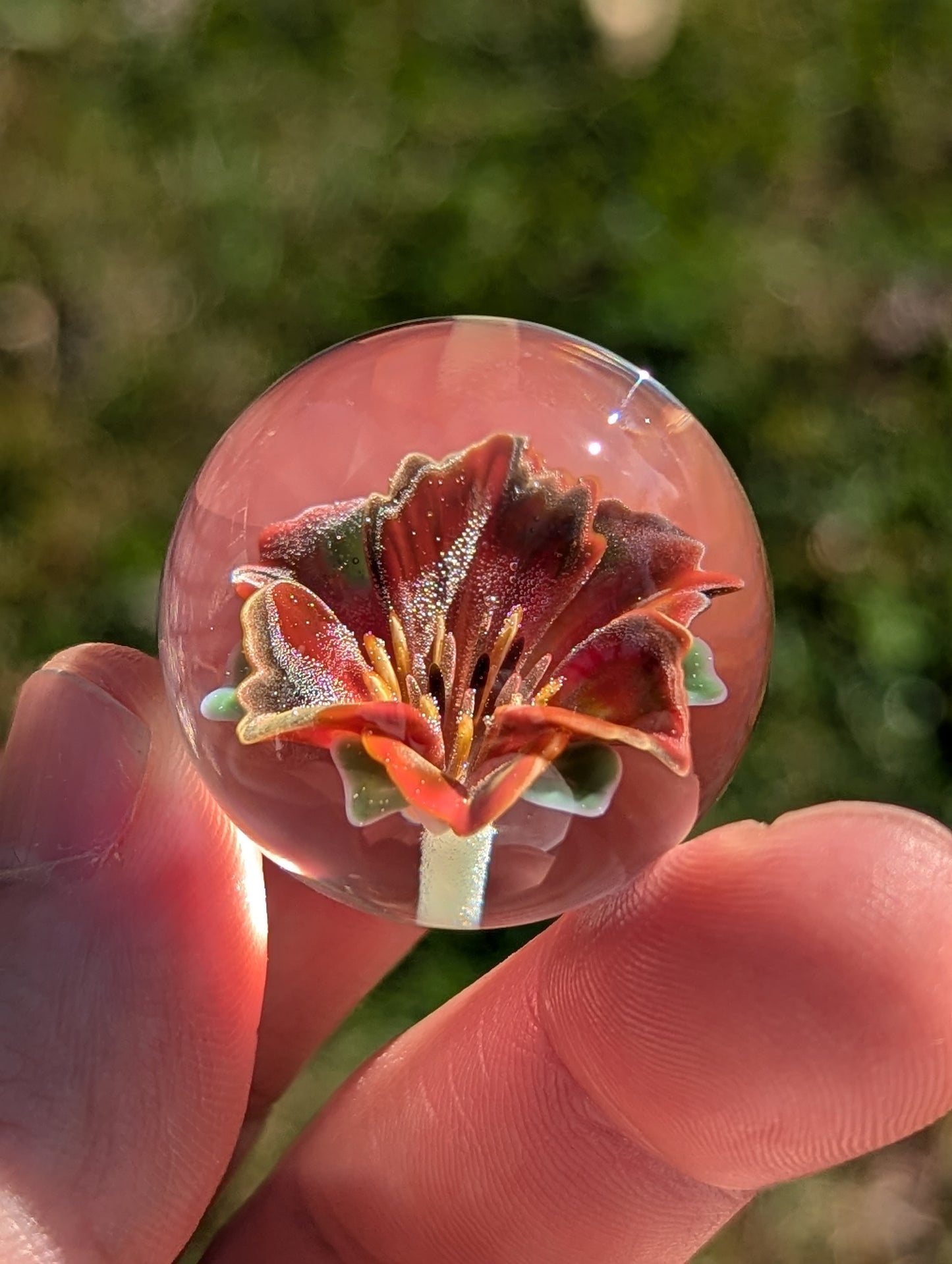 Phoenix Lily