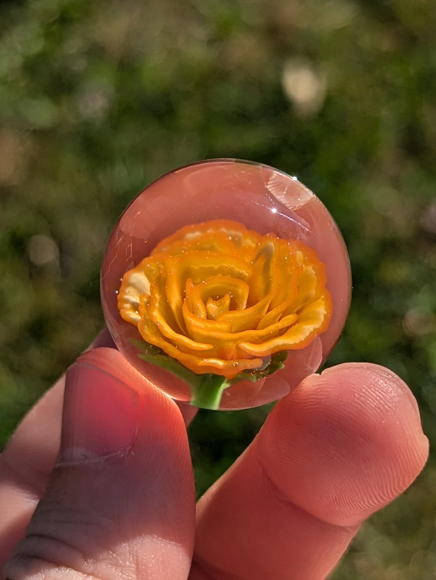 Orange Creme Rose V.2
