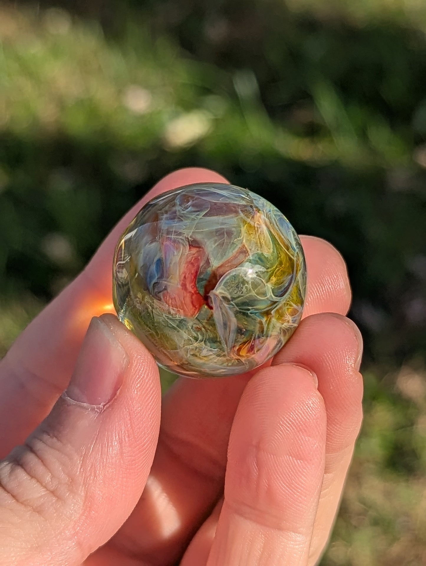 Memory of the Forest's Rain