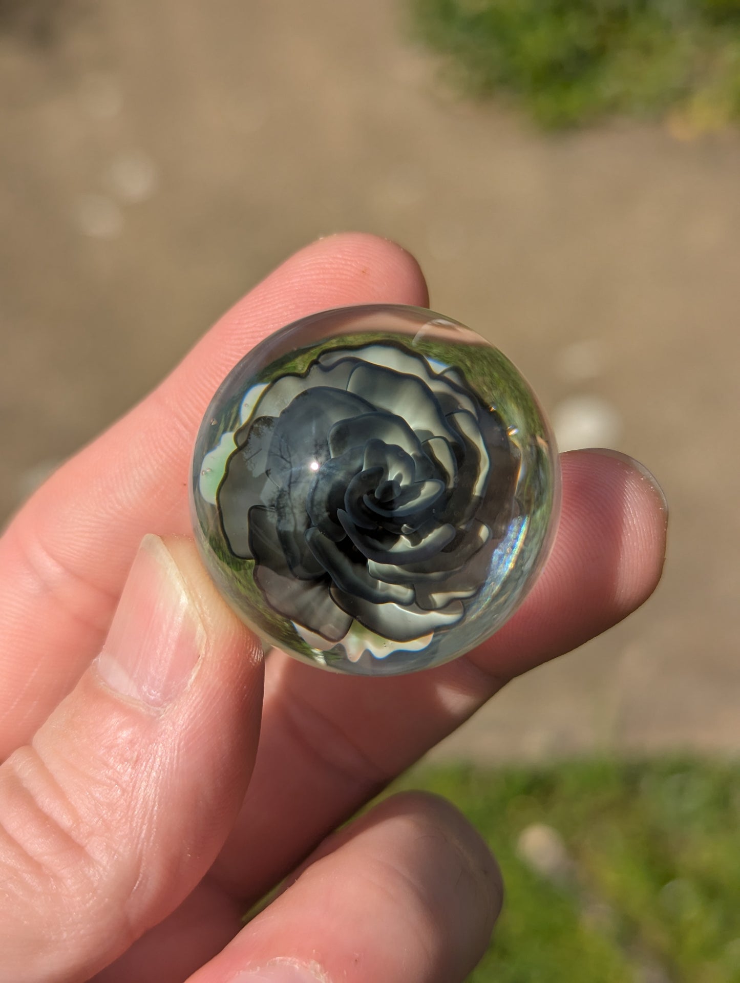 Veiled Rose