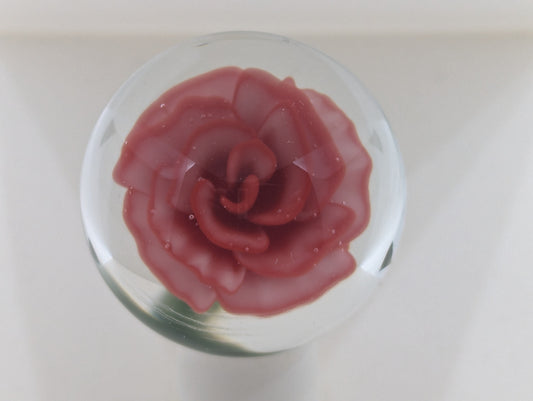 Strawberry Cream Rose