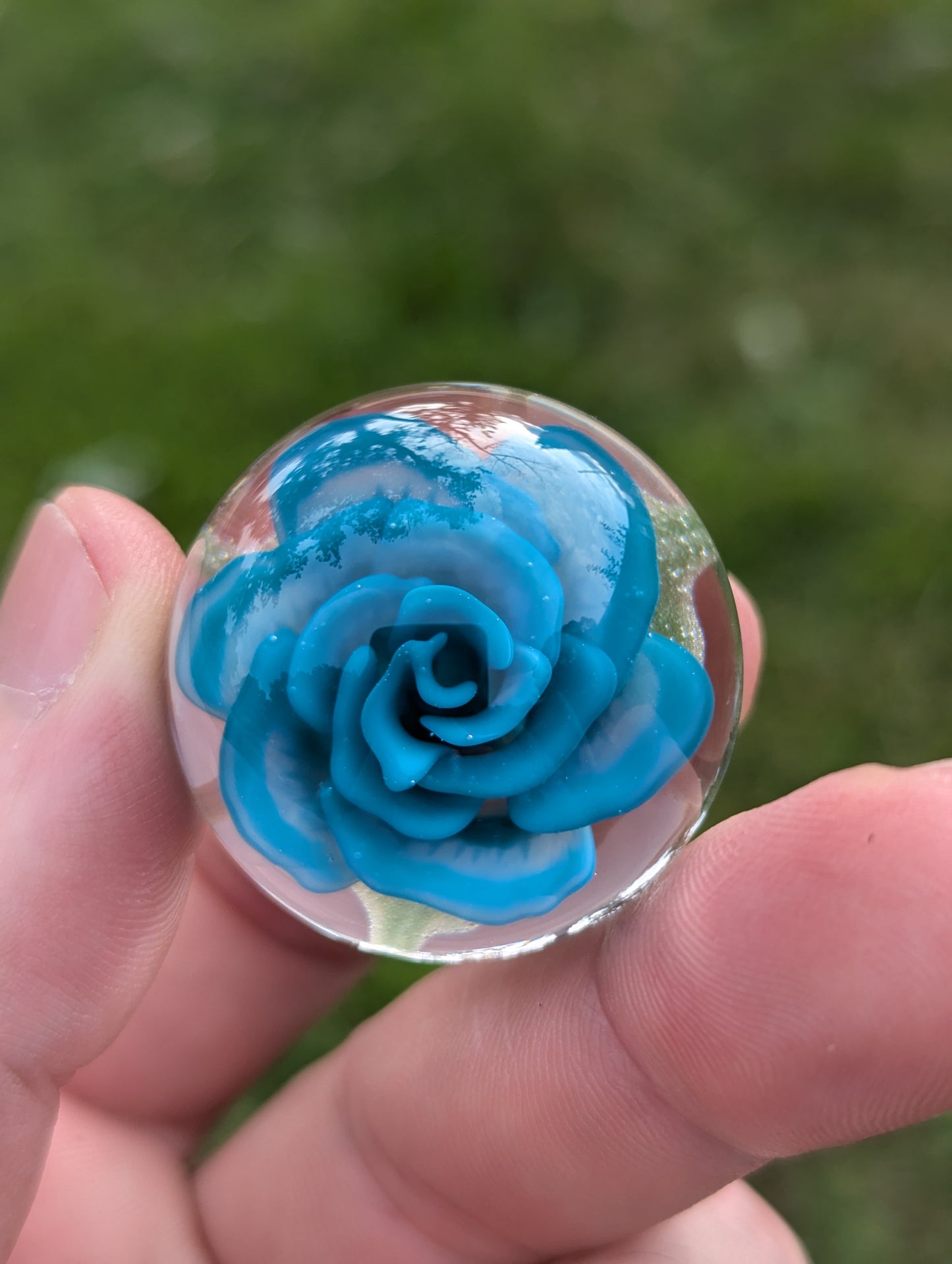 Cerulean Blue Rose