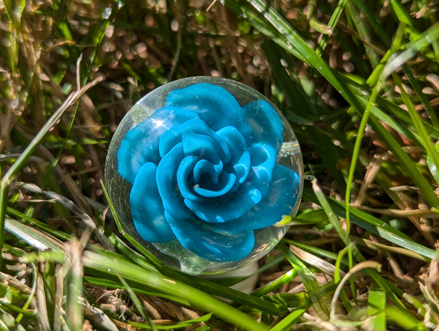 Cerulean Blue Rose