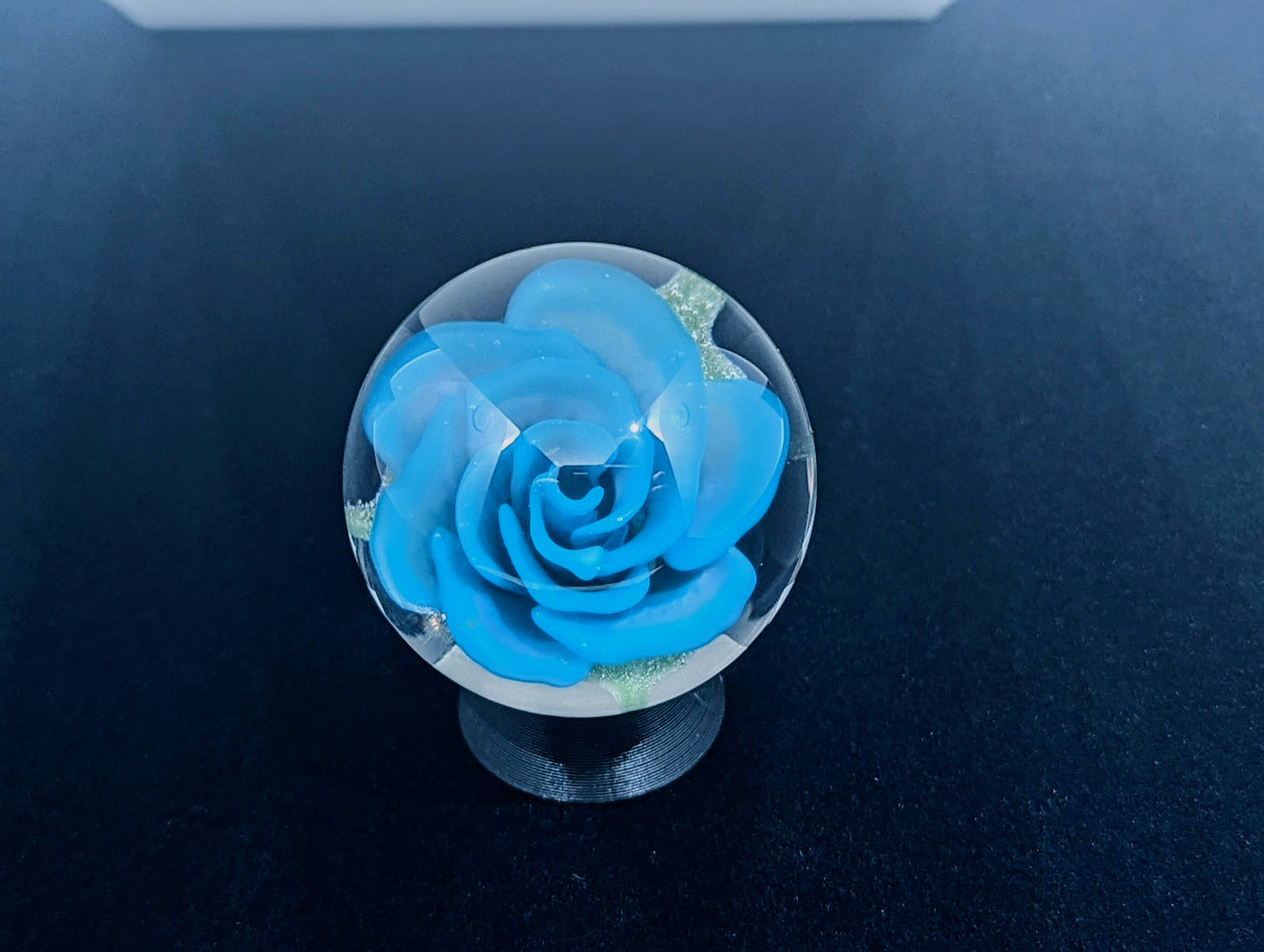 Cerulean Blue Rose