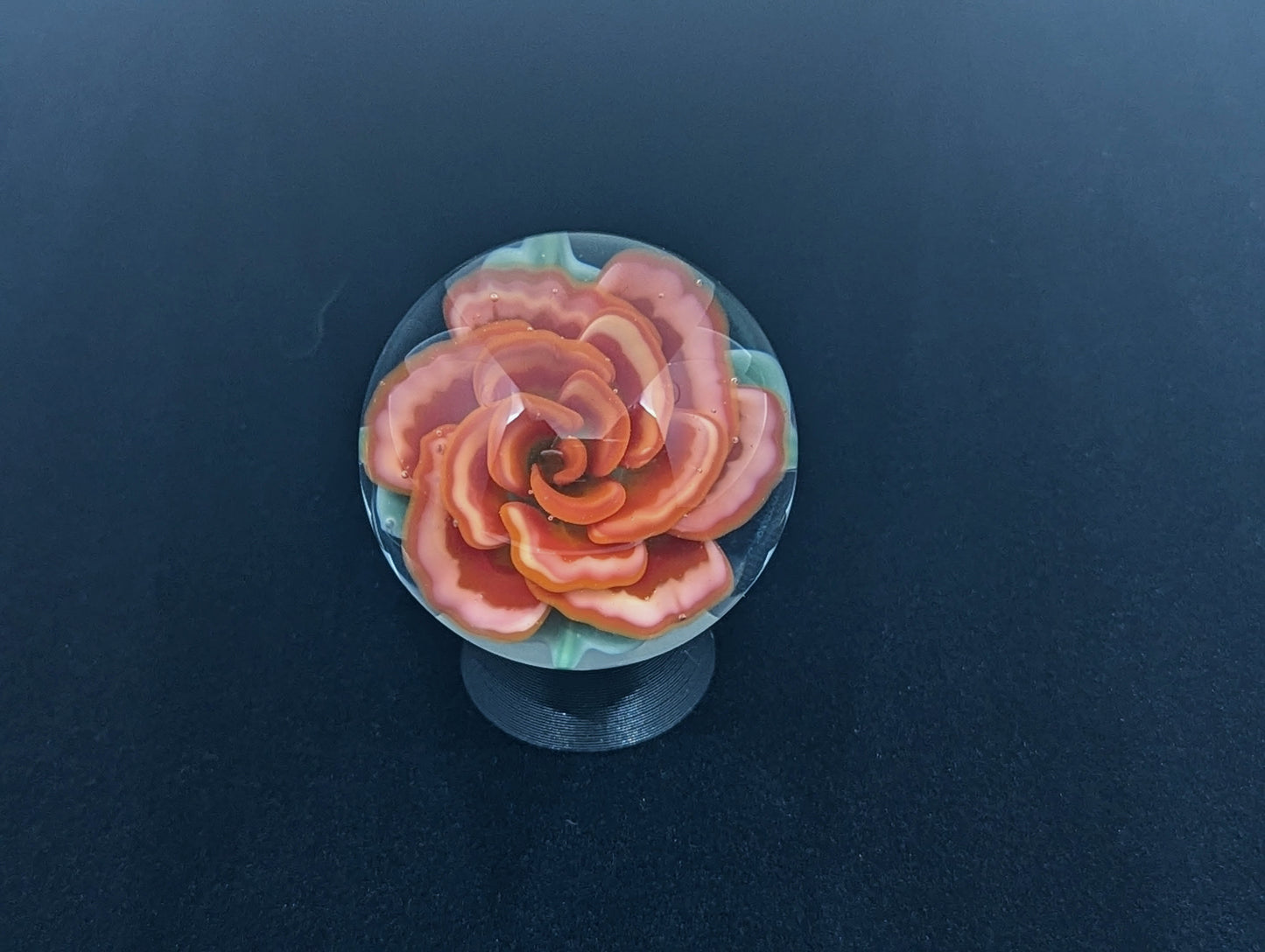 Strawberry Creme Rose