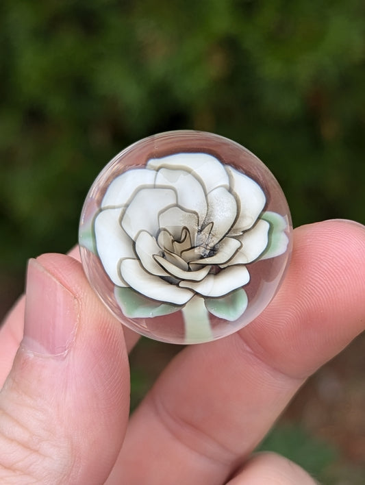 Burnt Ivory Rose