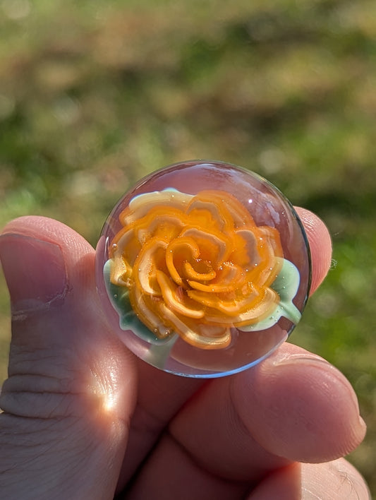 Tangerine Dream Rose V.2