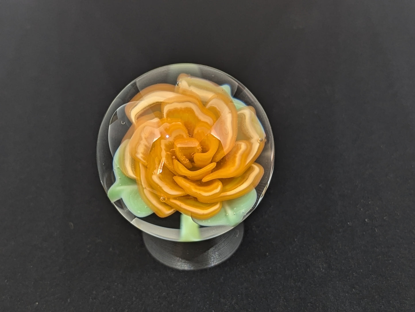 Tangerine Dream Rose V.2