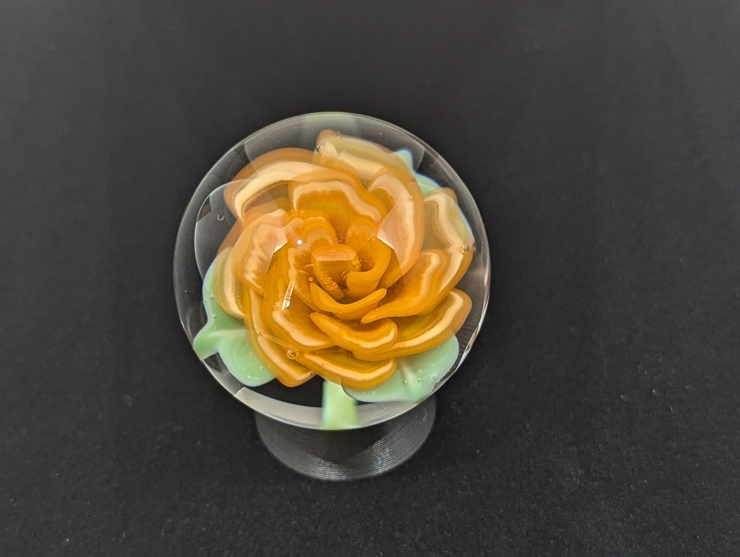 Tangerine Dream Rose V.2