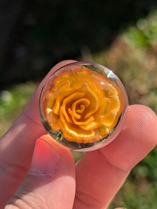 Orange Creme Rose V.2