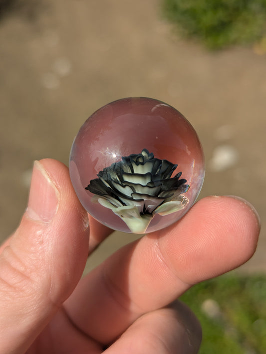 Veiled Rose