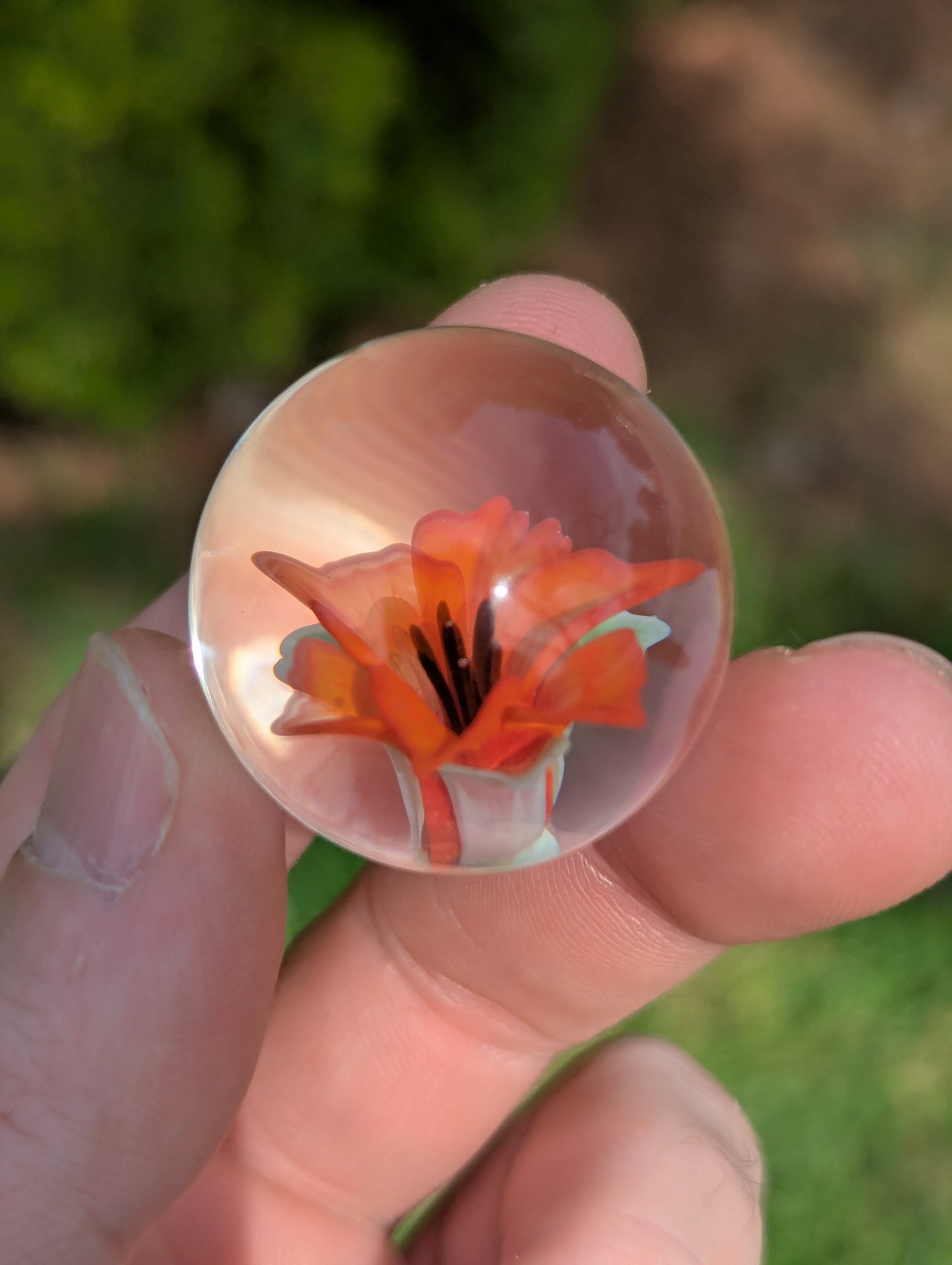 Vermillion Lily