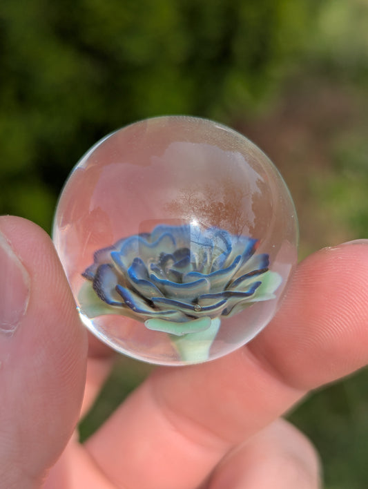 Nebulous Rose