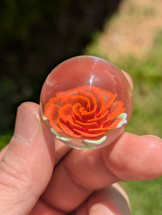 The Lovers Rose